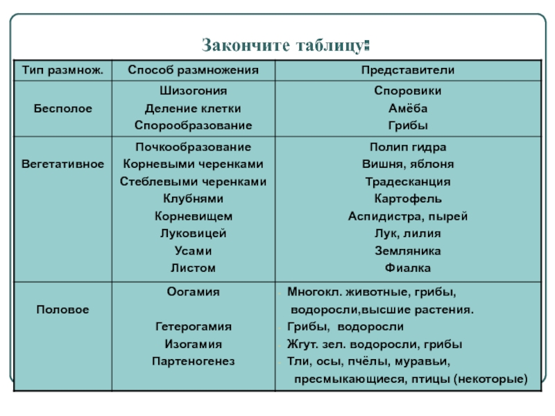 Как перейти на кракен
