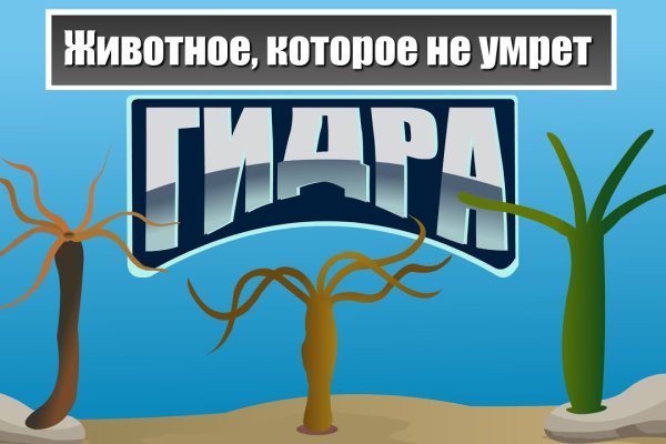 Наркошоп кракен